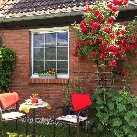 Ferienwohnung Schubertstrasse Malchow (Mecklenburg-Vorpommern) Exterior foto